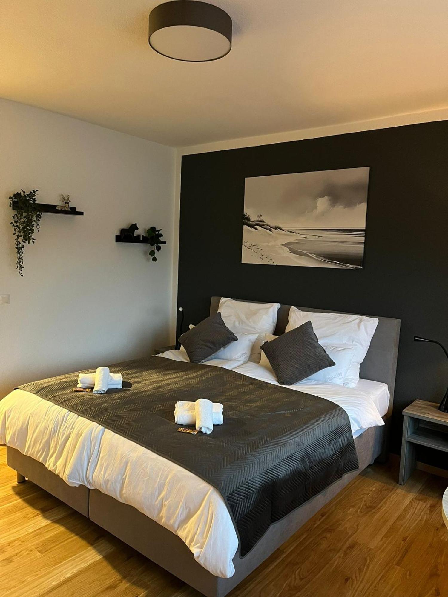 Rheinpanorama Suite Mit Balkon Koblenz  Exteriör bild